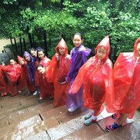 雨游青城 别有情趣
